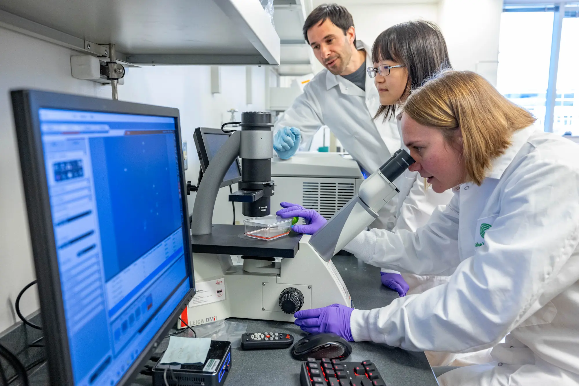 Three lab workers collaborate and work at a microscope