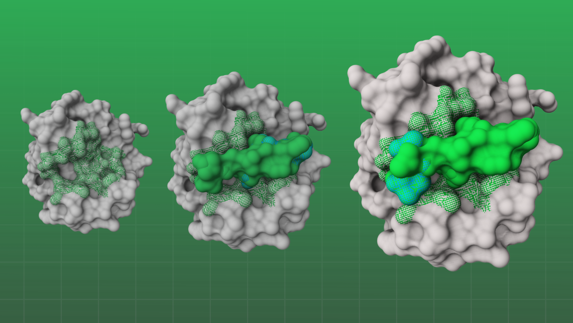 CAMOLE v6